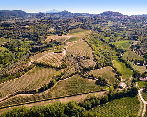 THE 10 BEST Italy Wineries & Vineyards (Updated 2023) - Tripadvisor
