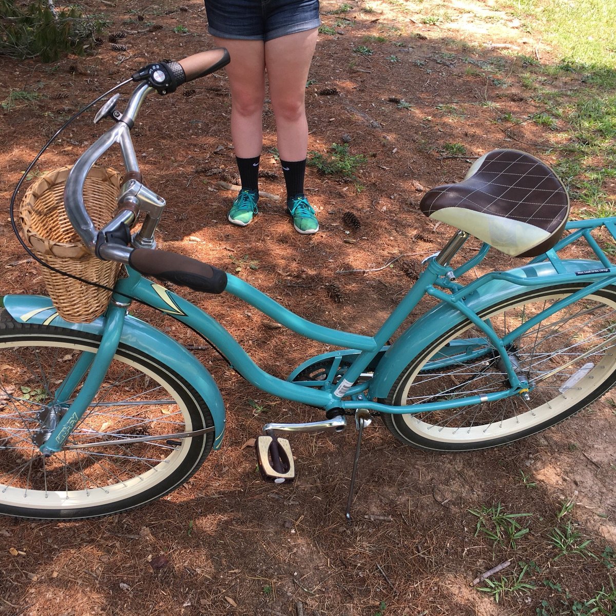 swamp rabbit bike rentals