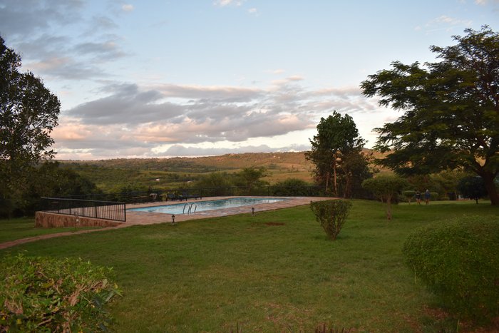 Pamoja Olea Farm Lodge Pool: Pictures & Reviews - Tripadvisor