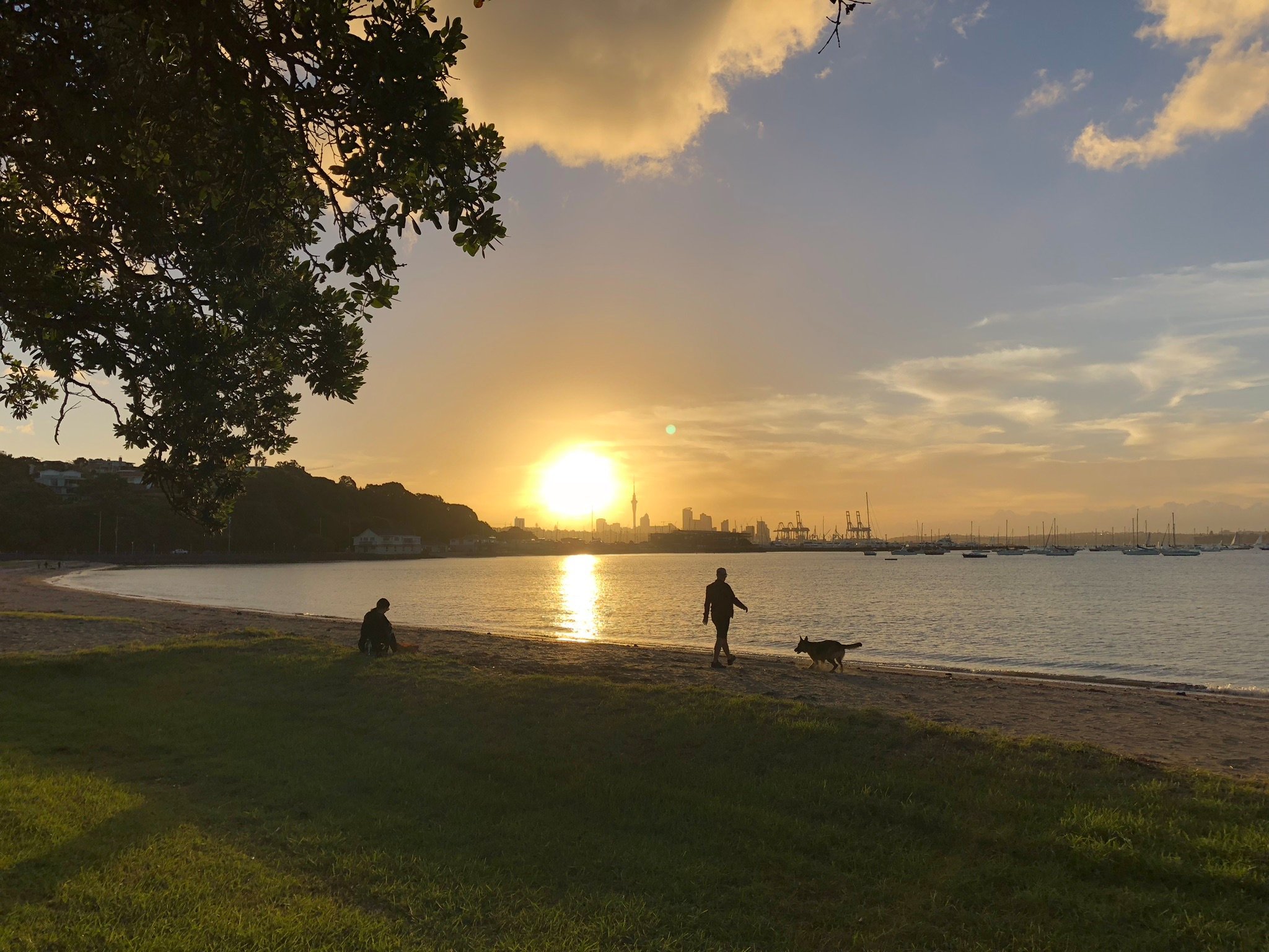 MISSION BAY BEACH (Auckland Central) - All You Need To Know BEFORE You Go