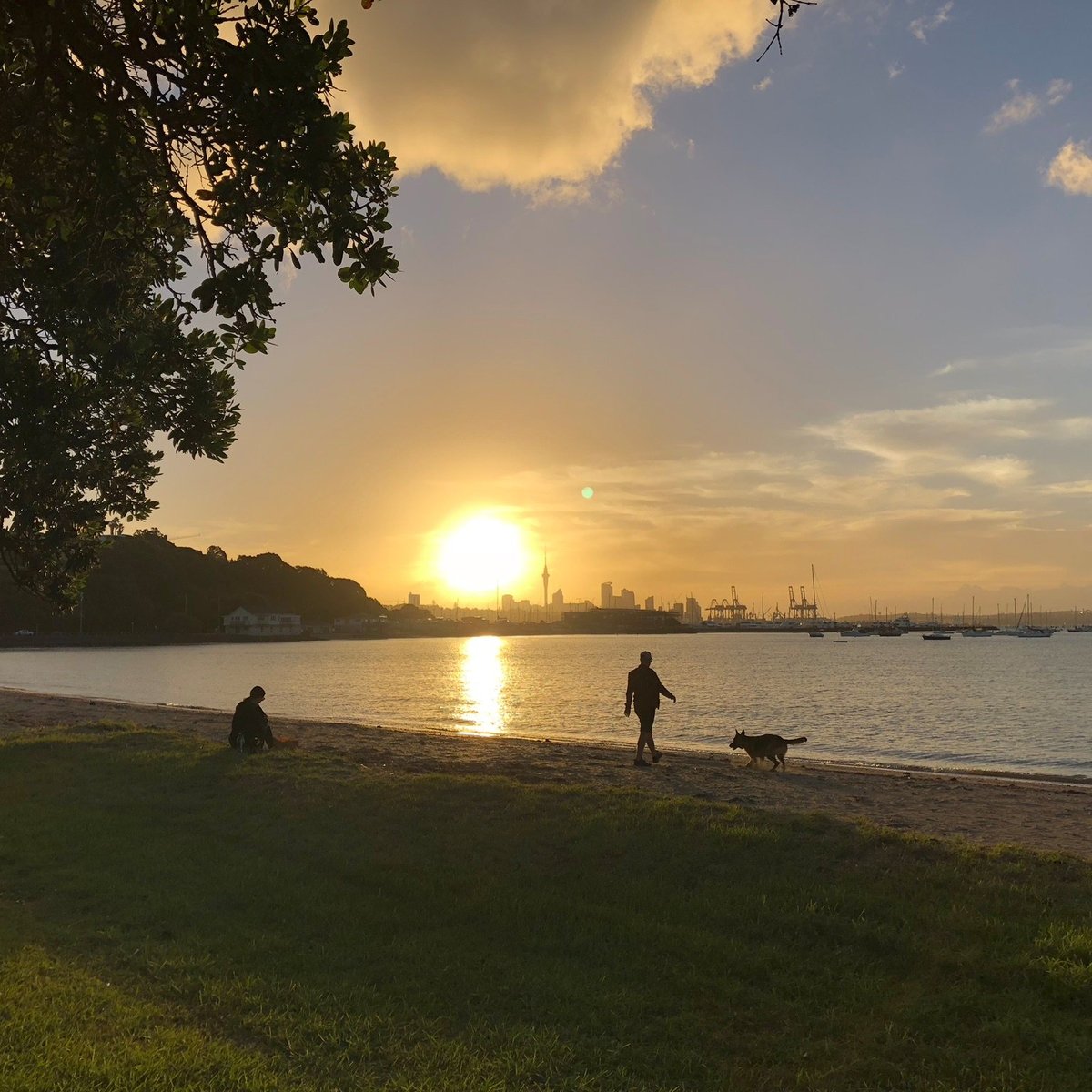 Mission Bay Auckland - Qué SABER antes de ir (ACTUALIZADO 2025)