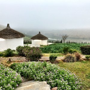 View looking down onto the lake