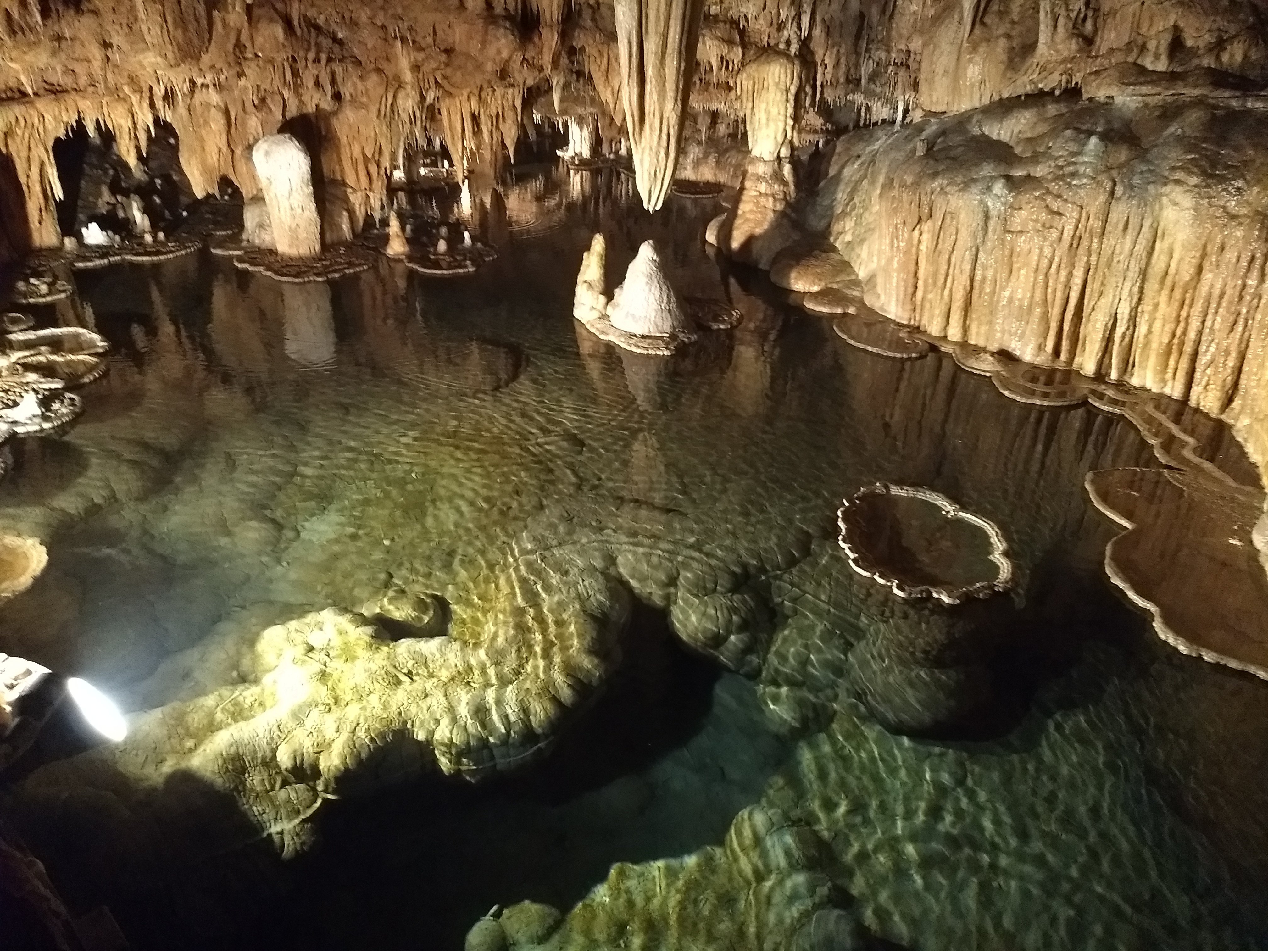 Onondaga Cave All You Need To Know BEFORE You Go 2024   Lilly Pad Room 