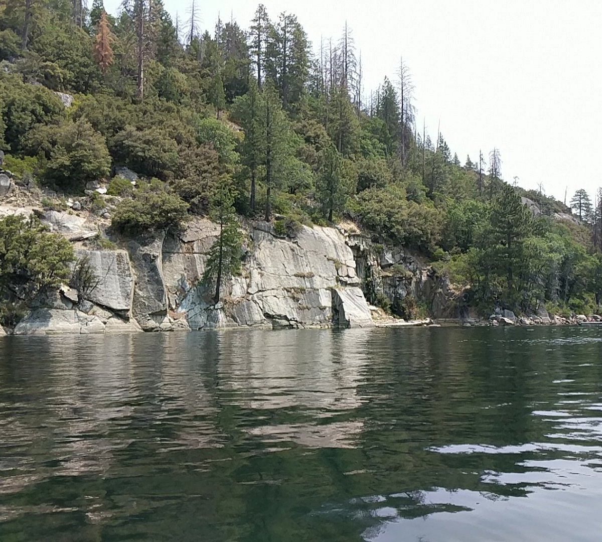 Pinecrest. Little Lakes Valley, California.