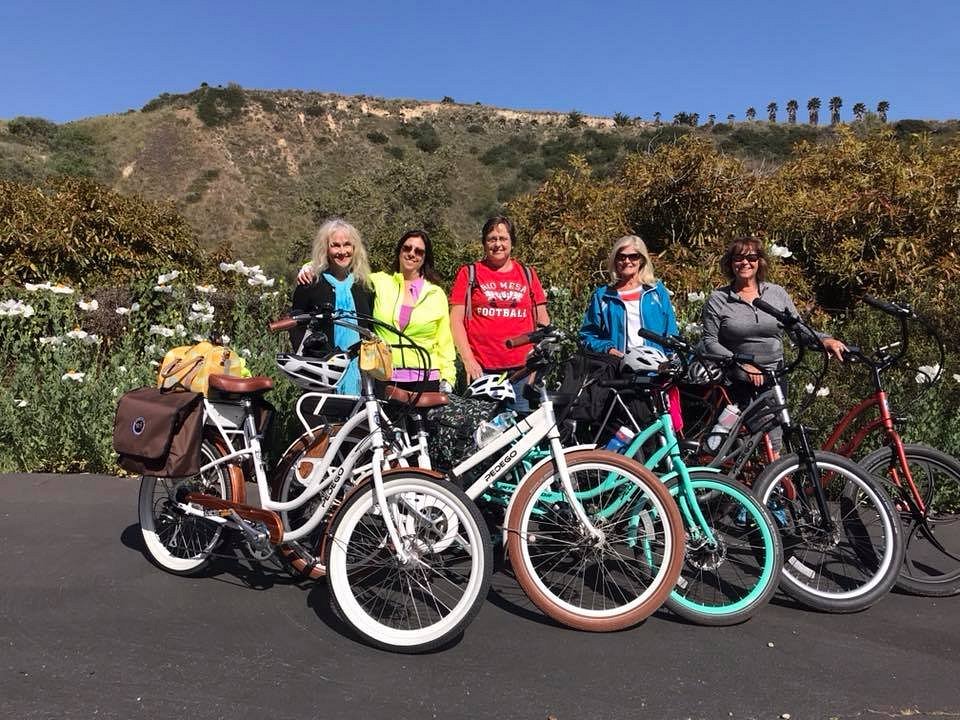 pedego stony brook