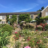 View from the rose garden 1