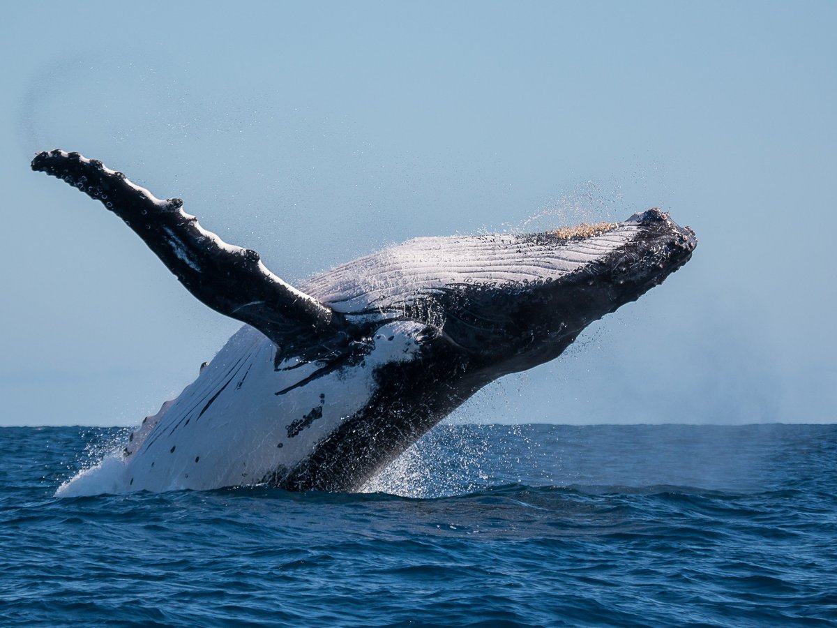 LIVE NINGALOO (Exmouth) - All You Need to Know BEFORE You Go