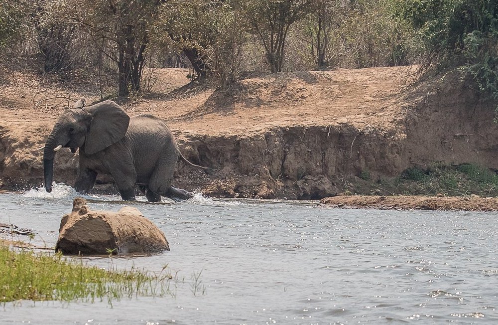 THE BEST Things to Do in Chirundu - 2023 (with Photos) - Tripadvisor