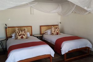 Room & Suite