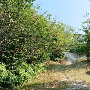 泉南市5 大公园与自然景点 Tripadvisor