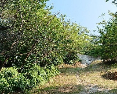 泉南市5 大公园与自然景点 Tripadvisor 泉南市5 大公园与自然景点 Tripadvisor