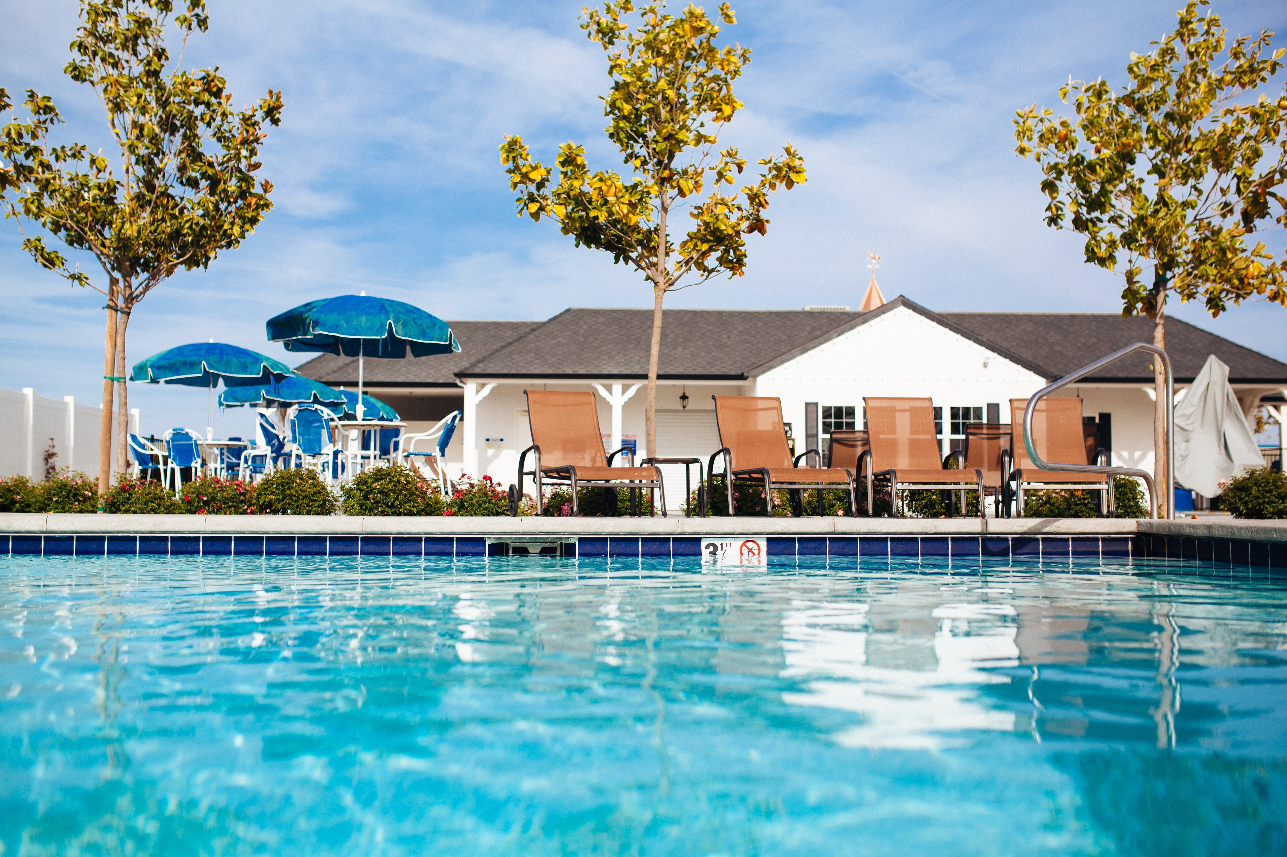 Vines RV Community Pool: Pictures & Reviews - Tripadvisor