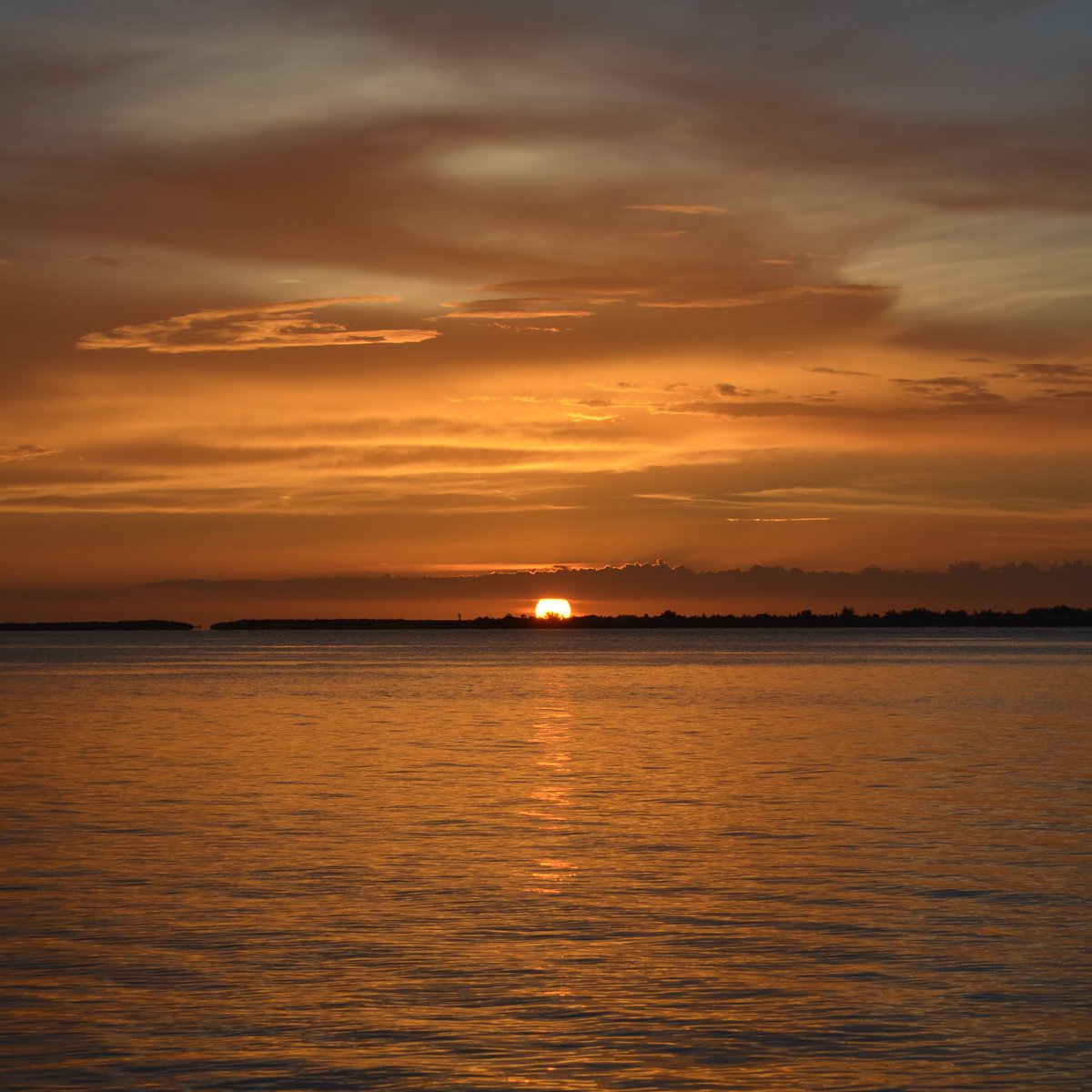 Causeway Islands Park (Sanibel Island) - All You Need to Know BEFORE You Go