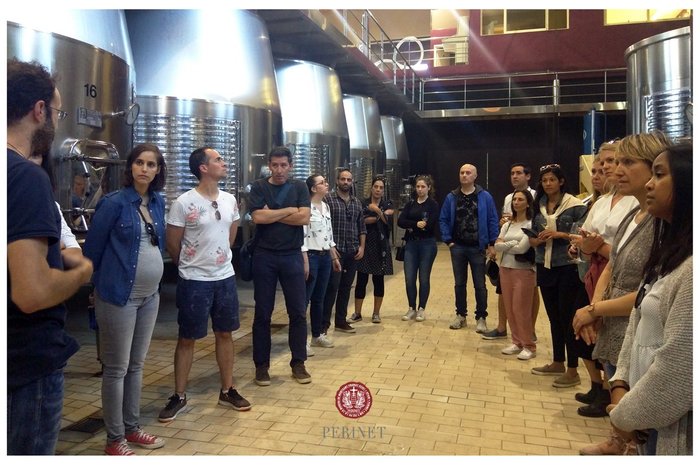 Imagen 6 de Perinet Winery