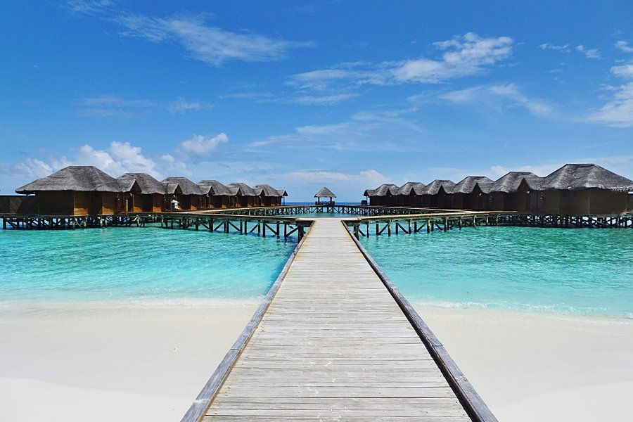 FIHALHOHI ISLAND RESORT - Resort Reviews, Photos, Rate Comparison - Tripadvisor