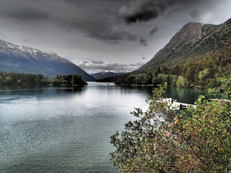 Bear Camp Updated 2020 Prices Campground Reviews Tatla Lake British Columbia Tripadvisor
