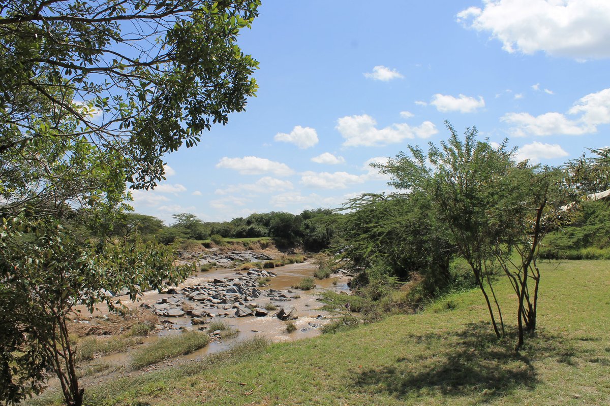 Olengoti Eco Safari Camp Rooms: Pictures & Reviews - Tripadvisor