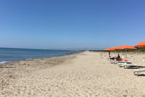 Viajante
