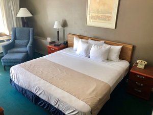 Room & Suite