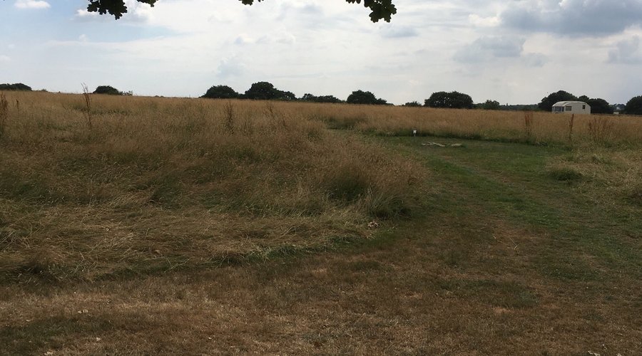 A wonderful field, quietness, just the sound of birds, nice surroundings in the neighbourhood of