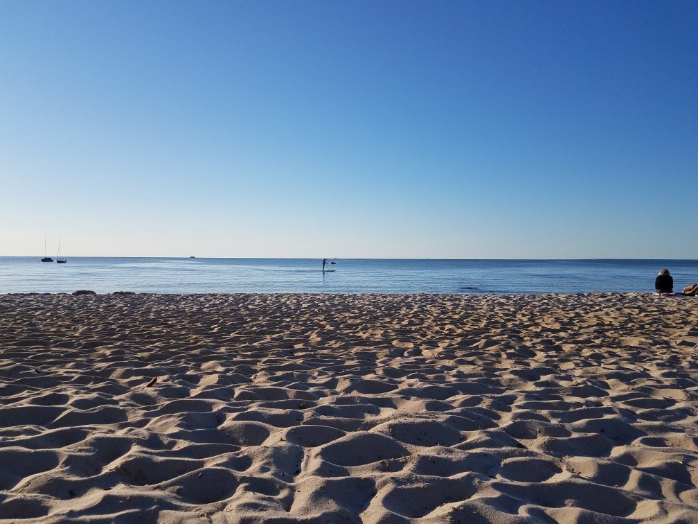 are dogs allowed at brewster town beaches