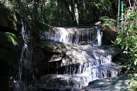 springwood new south wales australia weather