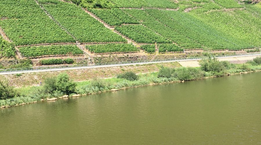 On the Mosel River