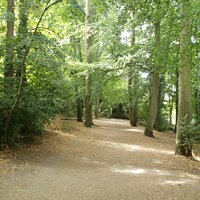 Trees line the route leading to and from the Hay Meadow.