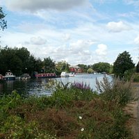 The view of the Thames from Christchurch Meadows.