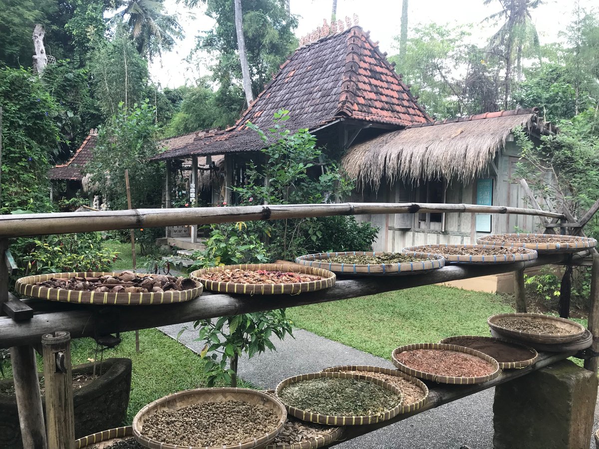 Agrotourism in Ubud