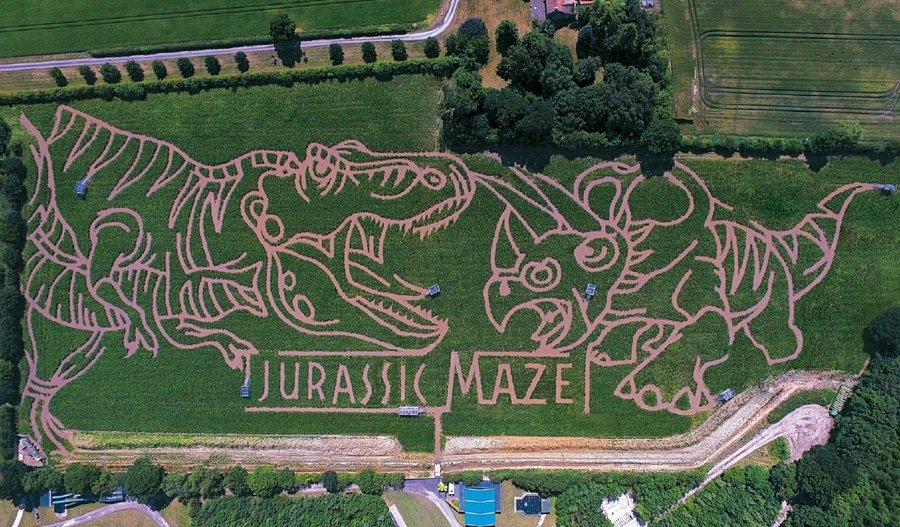 2018 YORK MAZE
