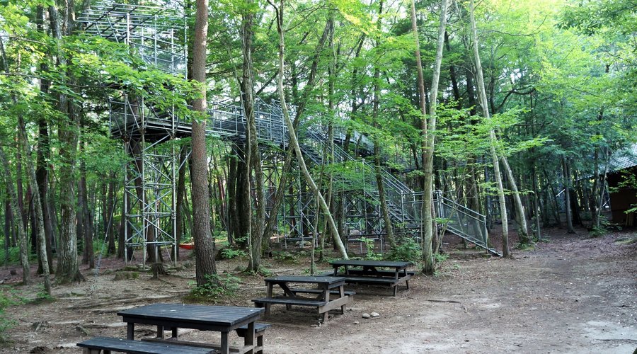 森の中では空中散歩ができます。