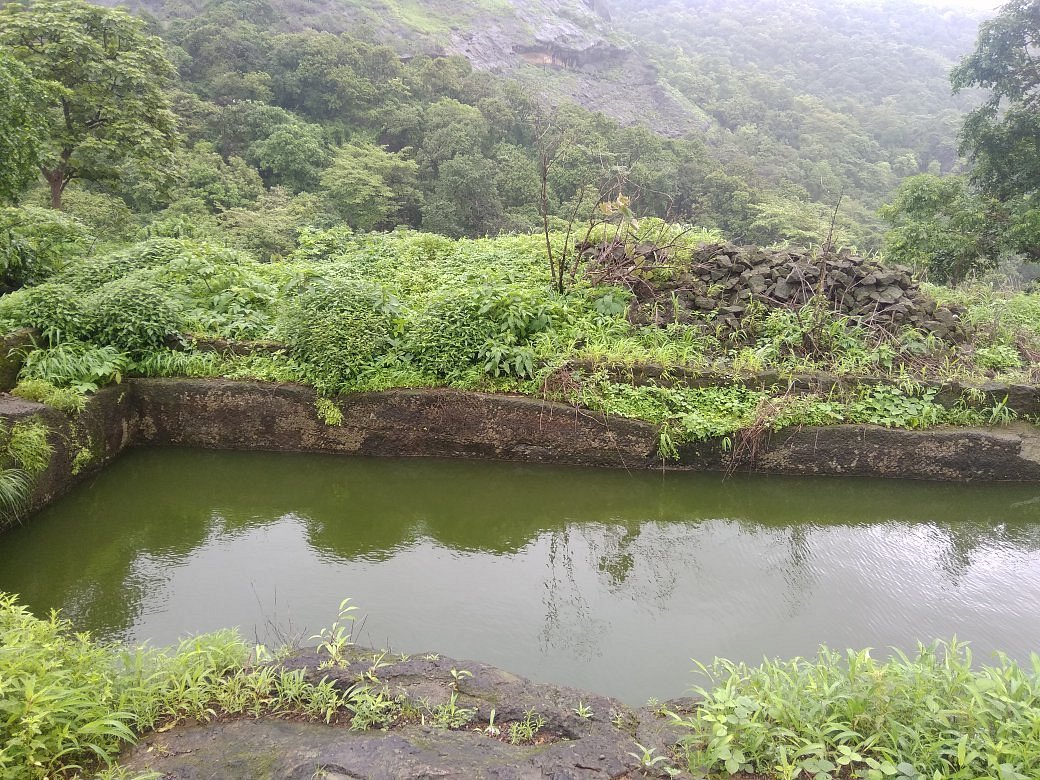 Sanjay Gandhi National Park (Mumbai) - All You Need to Know BEFORE You Go