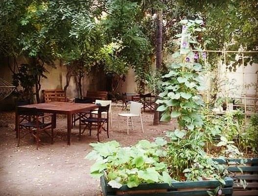 Il giardino segreto di Libri Liberi: si trova nella parte interna della libreria.