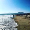 File:Dolphins, Zuma Beach, Malibu, California (13) (3125722034