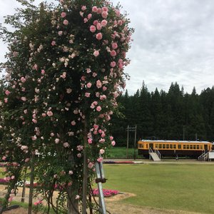 加茂市10 大景点玩乐 Tripadvisor
