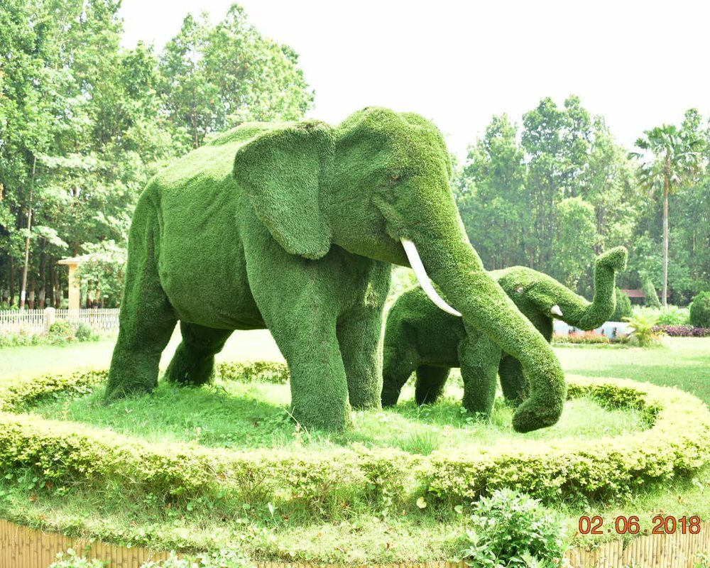 THE 15 BEST Things to Do in Ranchi (2025) - Must-See Attractions
