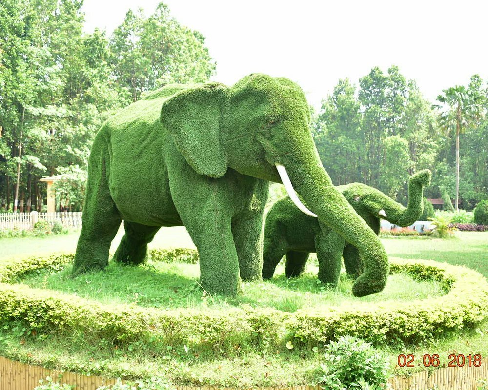 THE 15 BEST Things to Do in Ranchi (2025) - Must-See Attractions