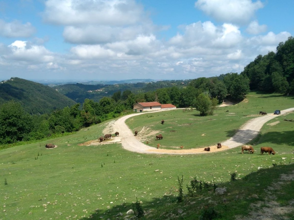 parco safari murazzano prezzi