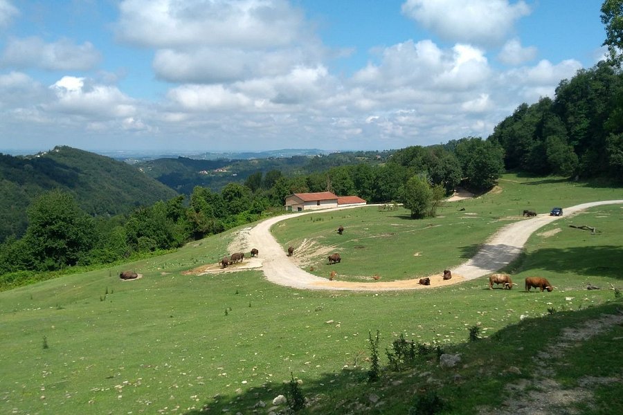 parco zoo safari di murazzano