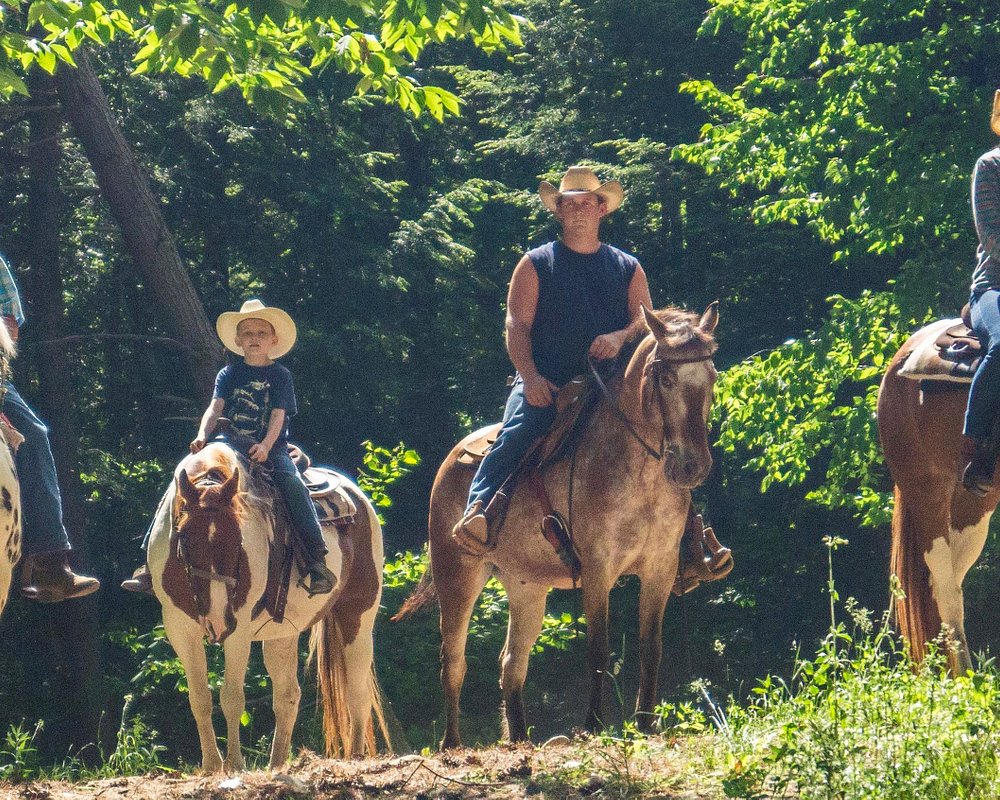 The 10 Best New York Horseback Riding Tours Updated 2023
