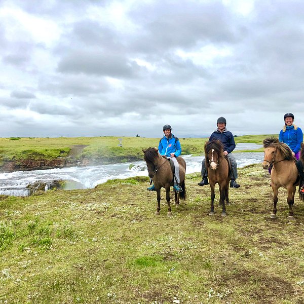 Icelandic Horseworld Hella All You Need To Know Before You Go