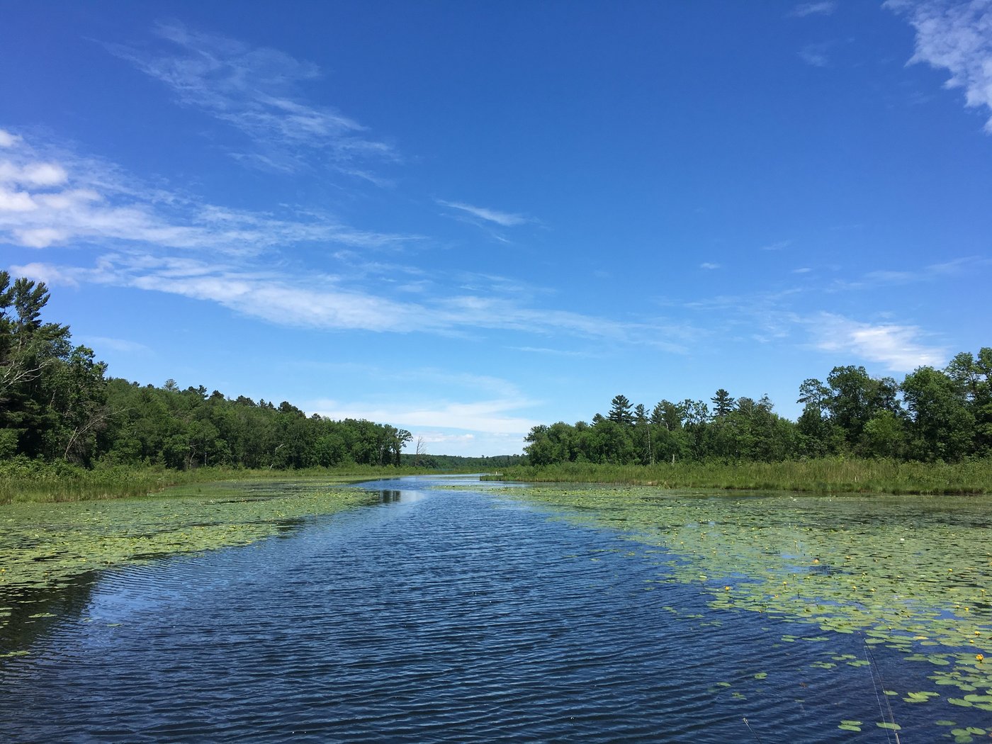 SANDY PINES RESORT (Backus, MN) Prezzi e Recensioni 2024