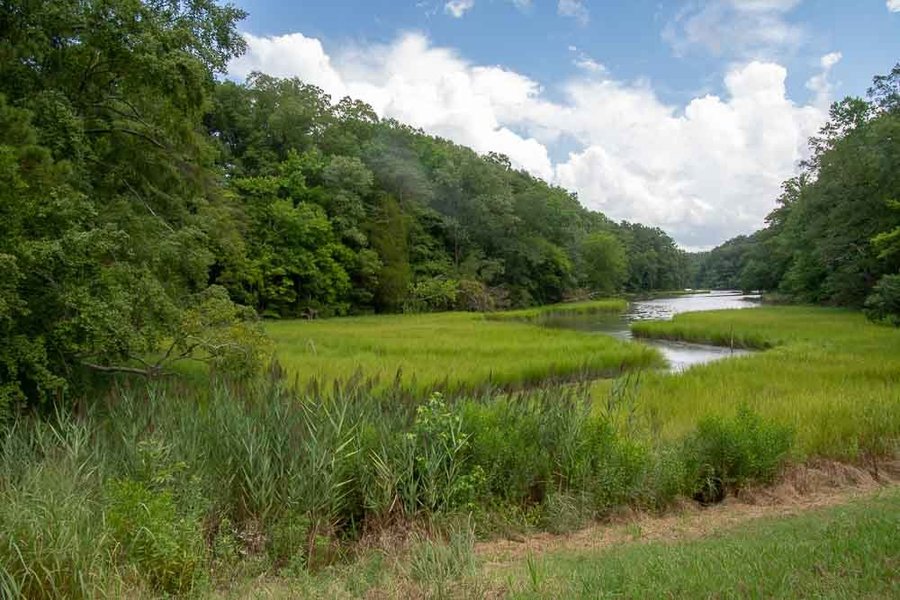 Yorktown Battlefield image