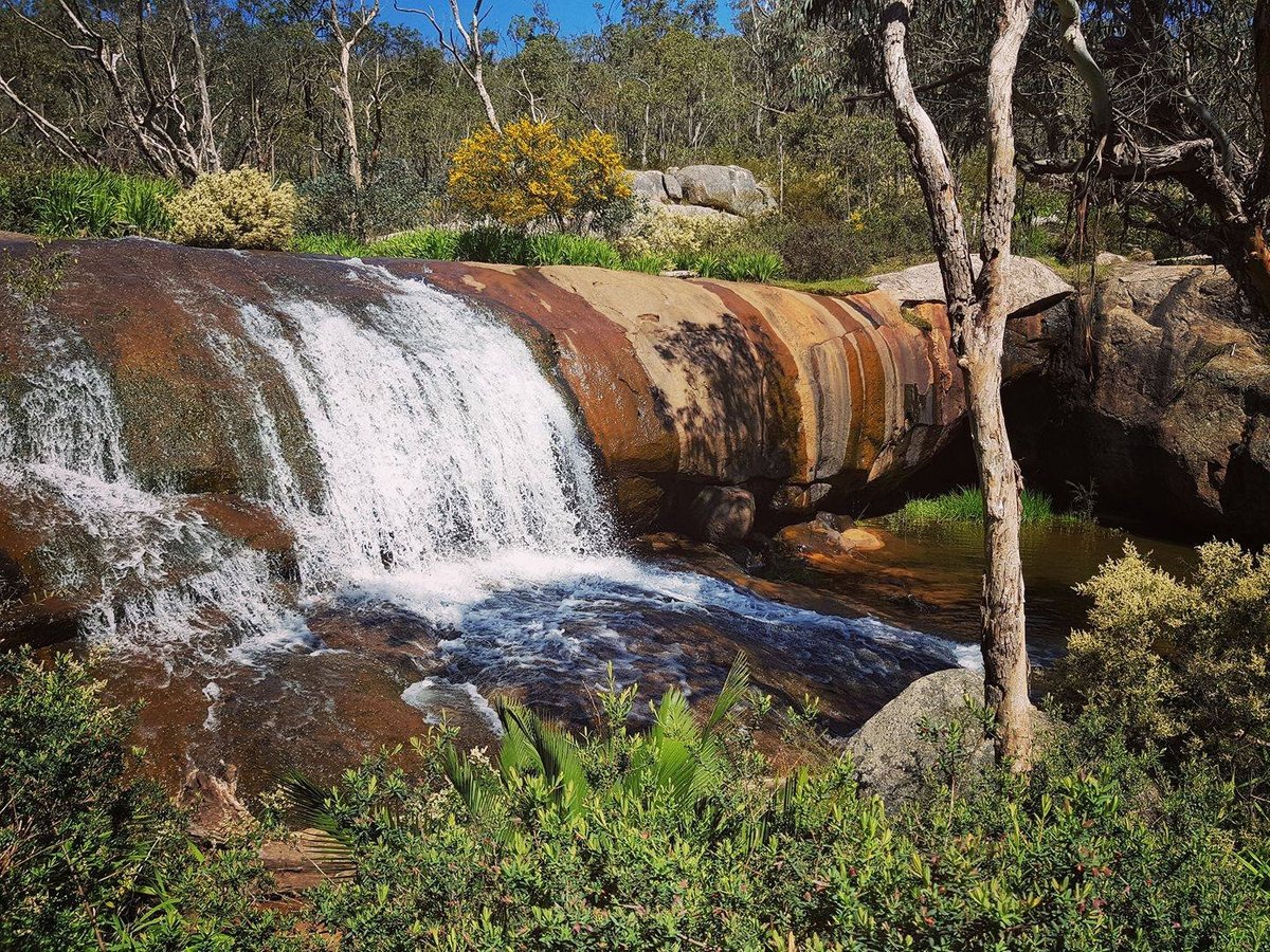 Snake Awareness Hiking in Perth - Off The Beaten Track WA