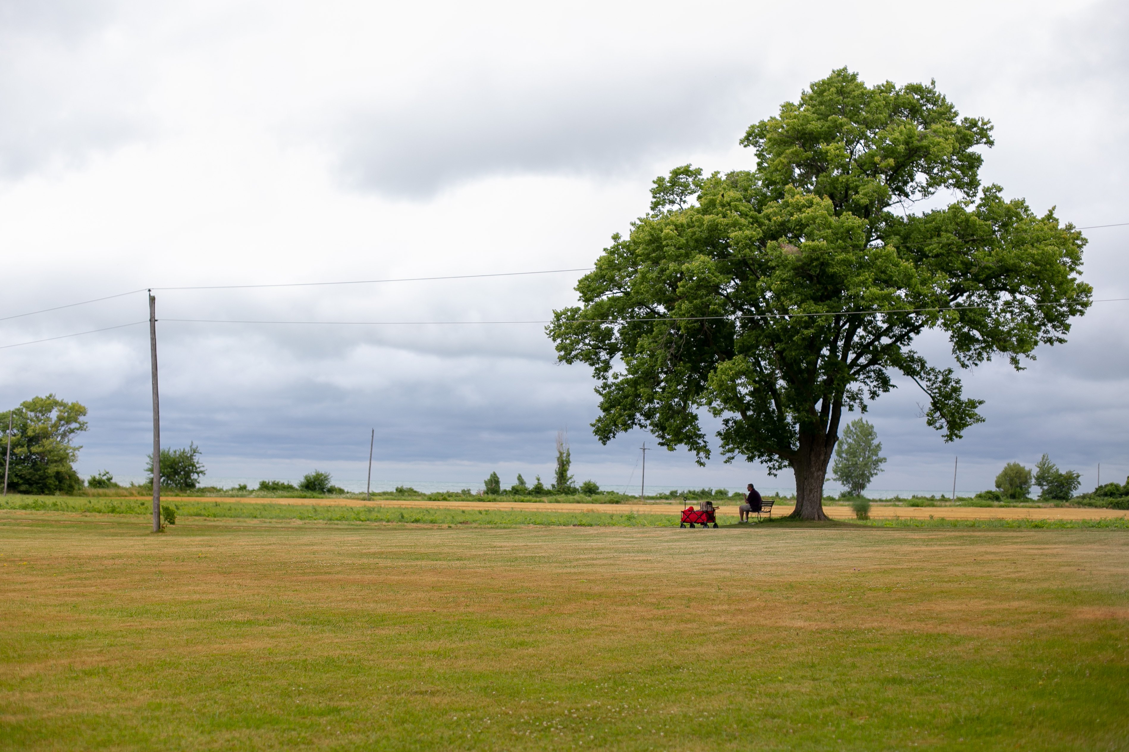 STONEHILL BED & BREAKFAST: Bewertungen & Fotos (Pelee Island, Kanada ...