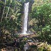 Things To Do in Secret Falls (Uluwehi Falls), Restaurants in Secret Falls (Uluwehi Falls)