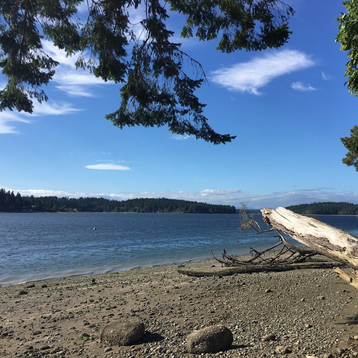 Hope Island Marine State Park (Olympia) - All You Need to Know BEFORE ...