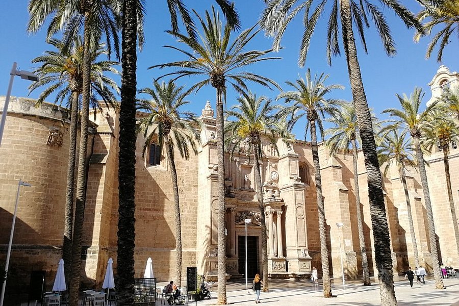 Catedral de Almeria image