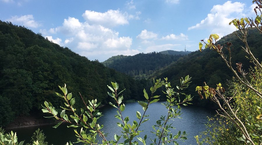 Bei unserer Wohnmobil Tour durch den Harz haben wir den Wiesenbeker Teich entdeckt. Super schön.